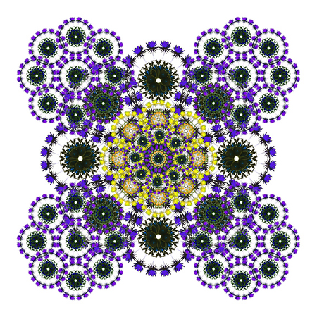 Natures Patterns I