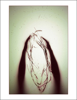 ©2016 Donna Callighan &nbsp; &nbsp;