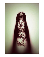 ©2016 Donna Callighan &nbsp; &nbsp;