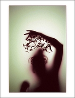 ©2016 Donna Callighan &nbsp; &nbsp;