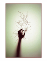 ©2016 Donna Callighan &nbsp; &nbsp;