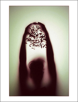 ©2016 Donna Callighan &nbsp; &nbsp;