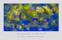 ©2016 Donna Callighan &nbsp; &nbsp;