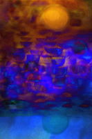 ©2016 Donna Callighan &nbsp; &nbsp;