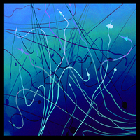 ©2016 Donna Callighan &nbsp; &nbsp;