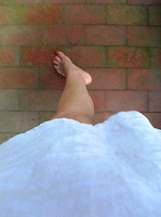 ©2016 Donna Callighan &nbsp; &nbsp;