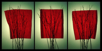 ©2016 Donna Callighan &nbsp; &nbsp;