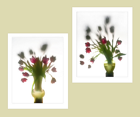 Tulip Bouquet & Balancement
